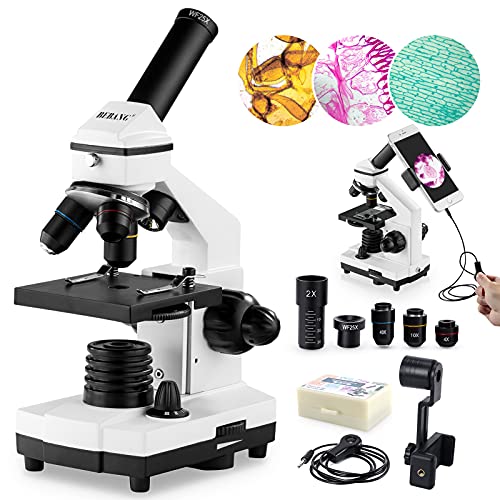 100X-2000X BEBANG Compound Microscope