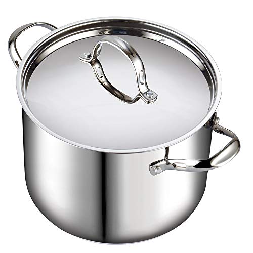 12-Quart Stainless Steel Stockpot with Lid