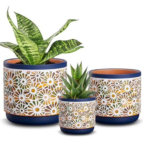 3-Piece Ceramic Plant Pots Set