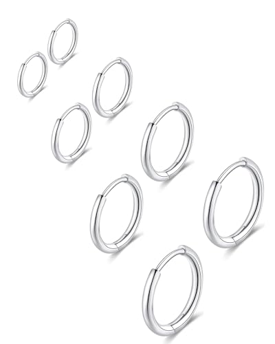 316L Surgical Stainless Steel Huggie Hoop Earrings