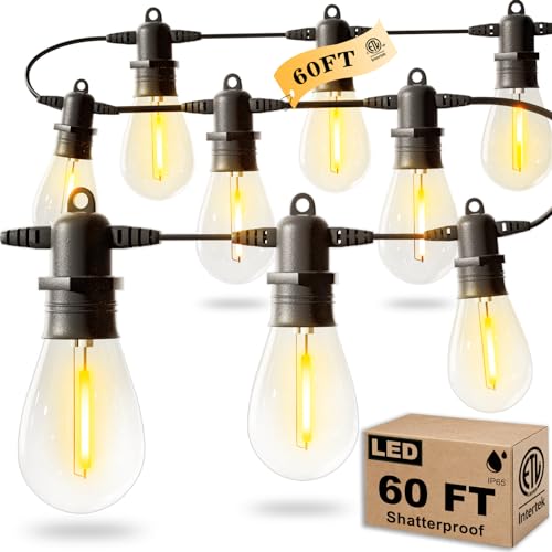 60FT LED String Lights