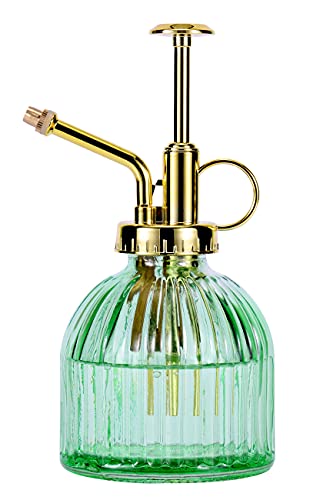 Aebor Green Glass Plant Mister Spray Bottle 6.5" with Gold Pump