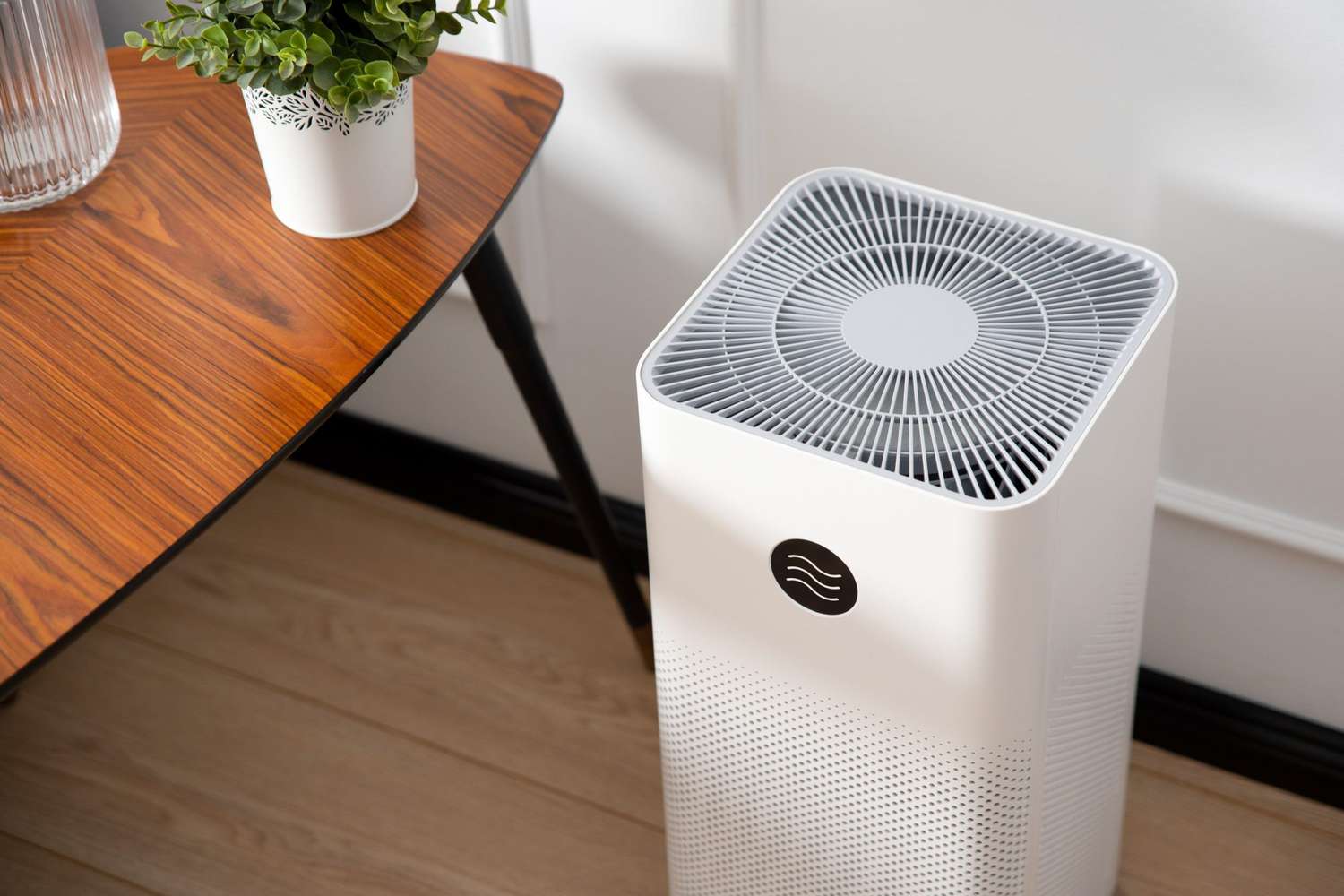 Air Purifier Review: The Best Options for Clean Indoor Air