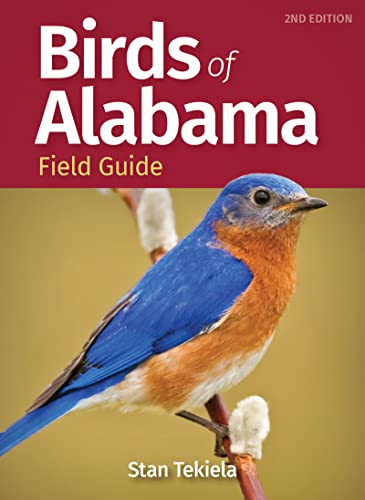 Alabama Bird Field Guide