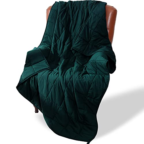 Alomidds Weighted Blanket