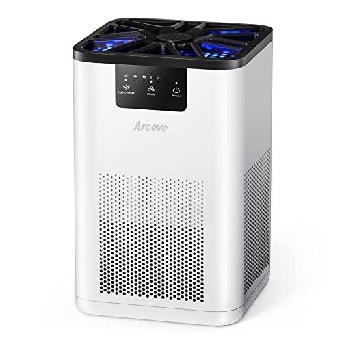 AROEVE HEPA Air Purifier With Aromatherapy Function