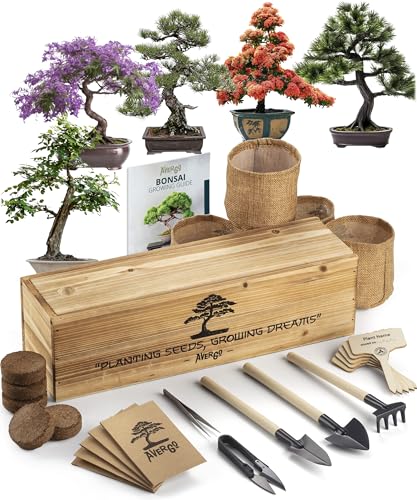 AVERGO Bonsai Tree Kit: Complete Indoor Starter Set with Tools & Planters