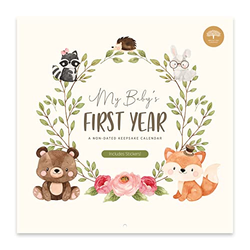 Baby's First Year Calendar by Bright Day