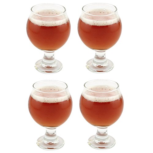 Beer Taster Glass 5 oz - 4 Pack w/ Pourer