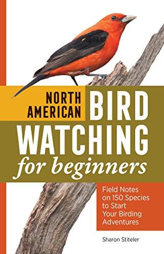 Beginner's Bird Watching Field Notes