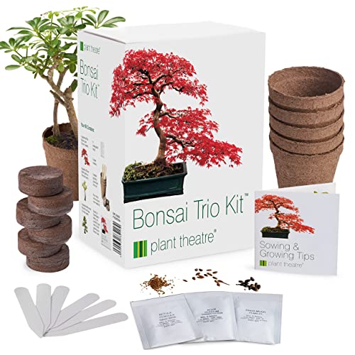 Bonsai Tree Growing Kit