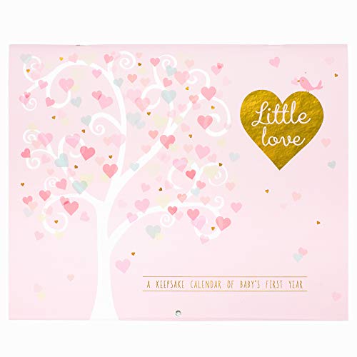 C.R. Gibson Gold and Pink Baby Calendar Family Tree, 11'' W x 18'' H