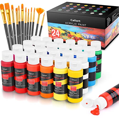 Caliart Art Craft Paint Set with 24 Colors and 12 Brushes