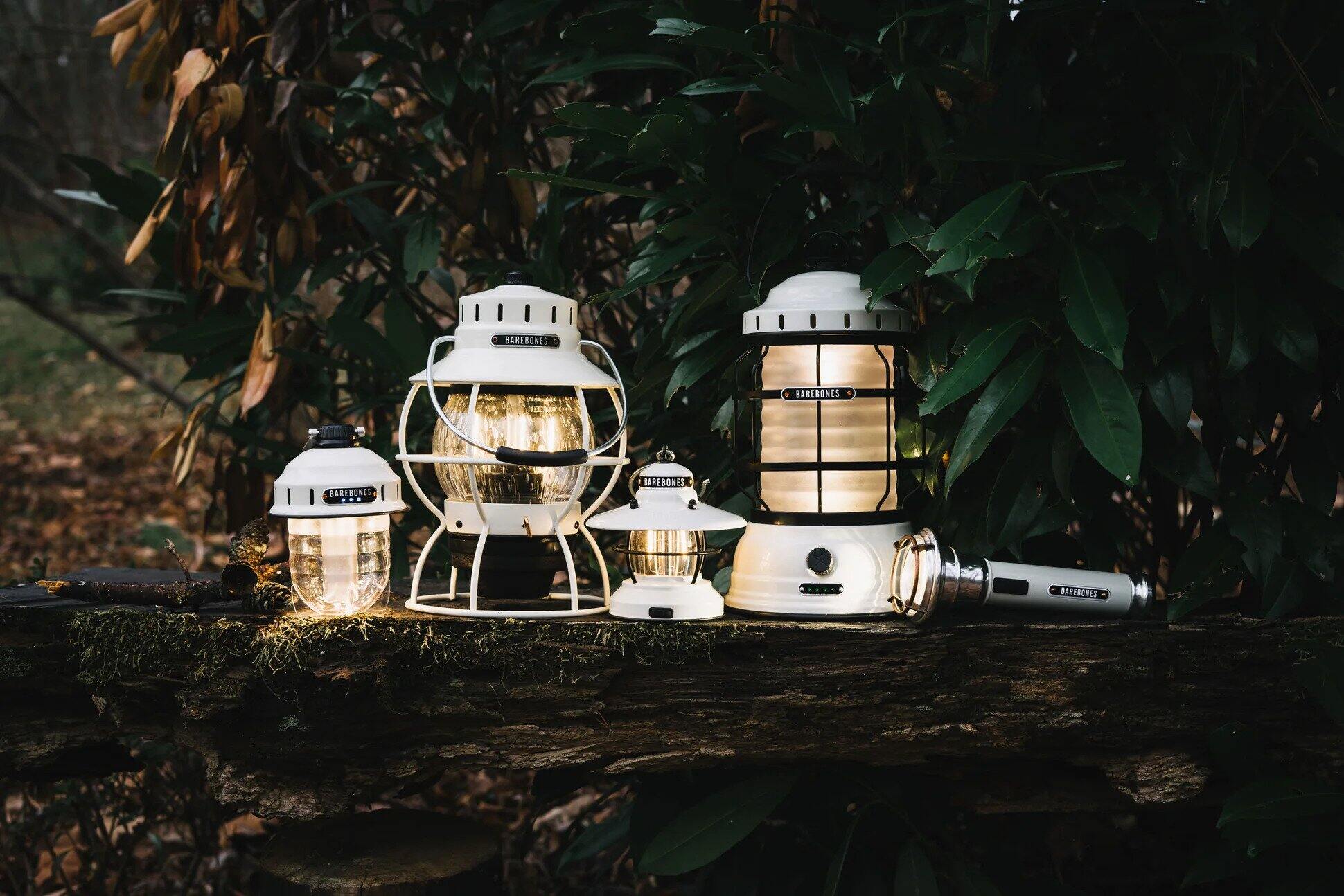 Camping Lantern Review: Shedding Light on the Best Options