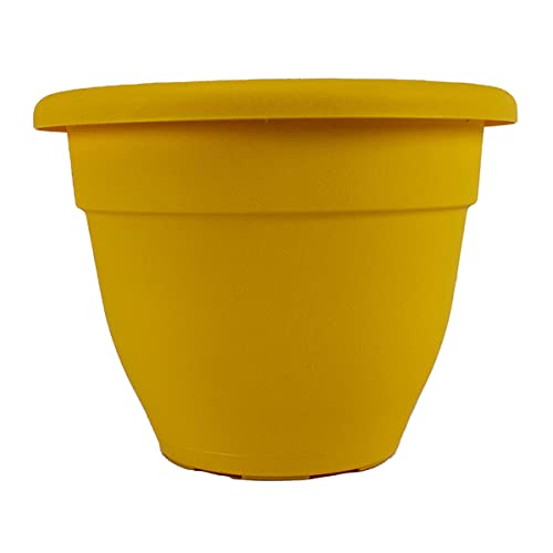 Caribbean Planter - 6 Inch Lightweight Plastic Pot
