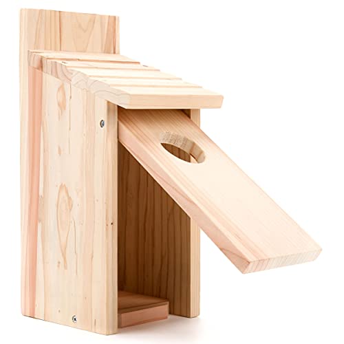 Cedar Blue Bird Box House
