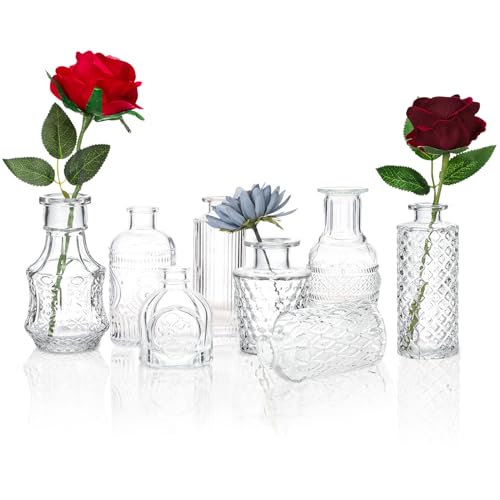 CEWOR Glass Bud Vases Set