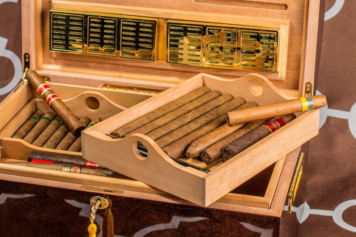 Cigar Humidor Review: The Perfect Storage Solution for Cigar Enthusiasts