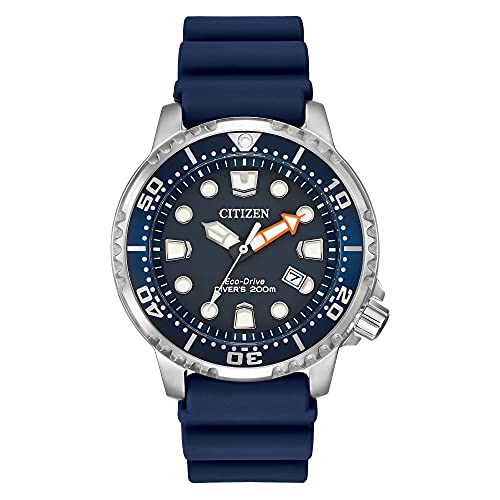 Citizen Promaster Eco-Drive Dive Watch, Blue/Stainless
