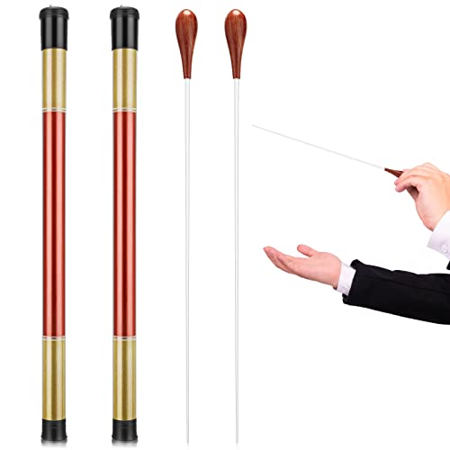 Conductor Baton with Case