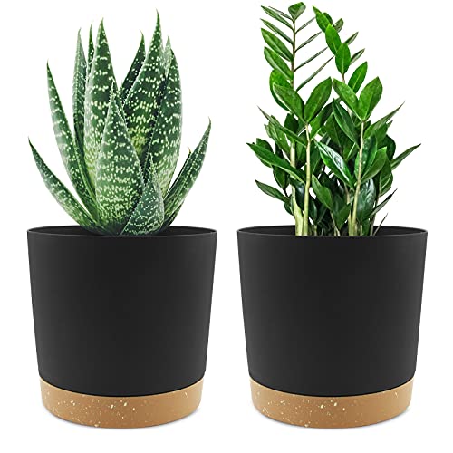 Dark Grey 6.5-inch Plant Pots Set