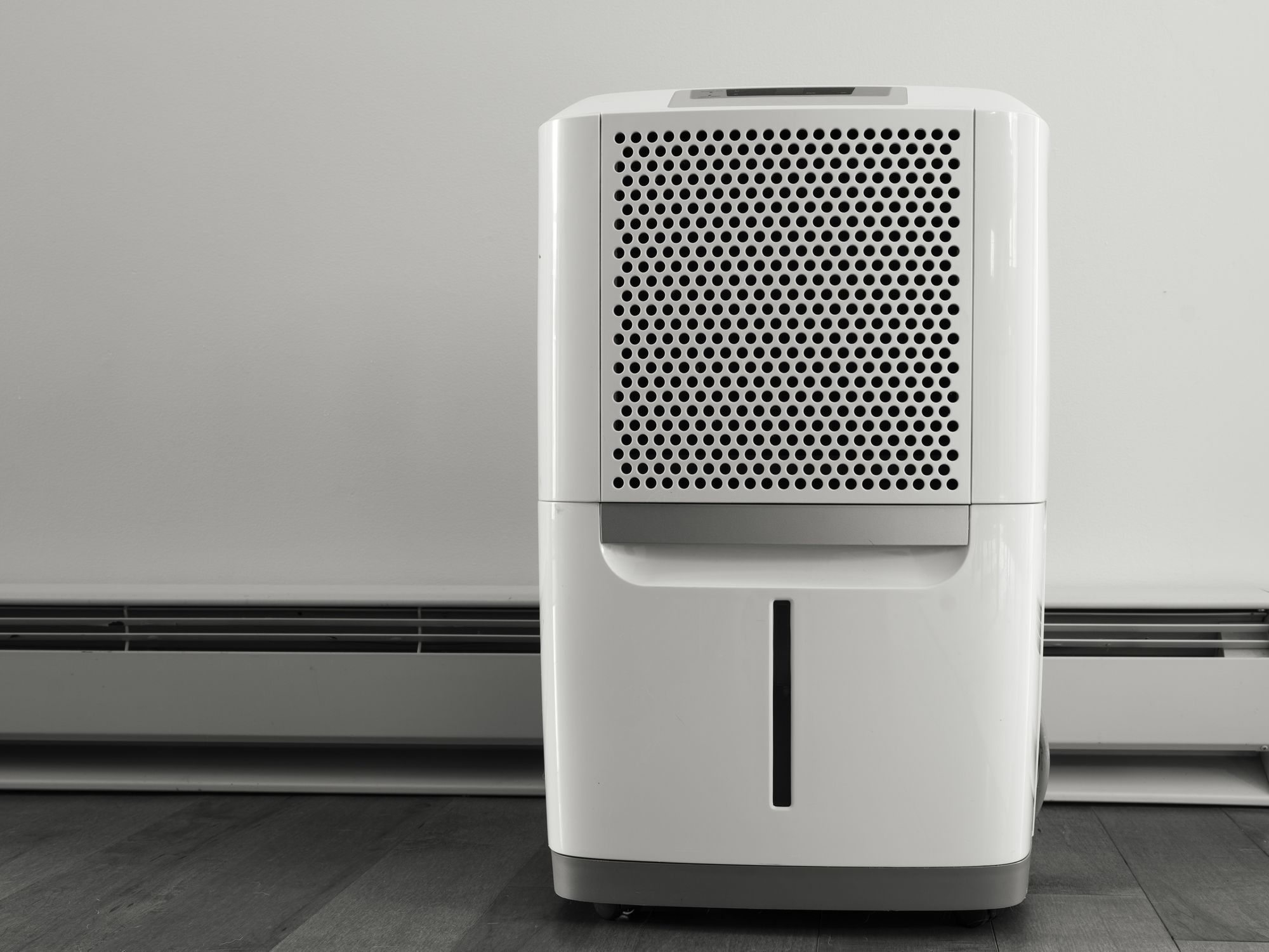 Dehumidifier Review: Top Picks and Buying Guide