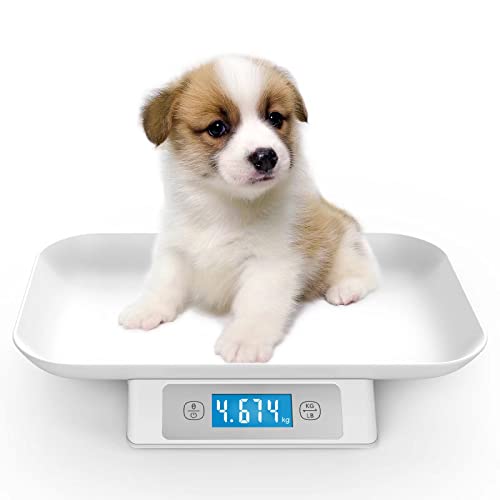 Digital Pet Scale for Small Animals