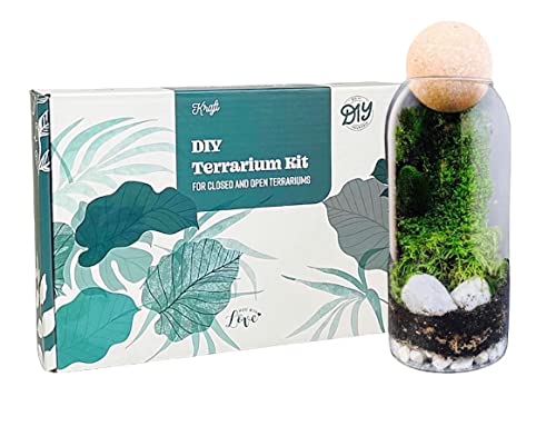 DIY Terrarium Kit with Live Moss