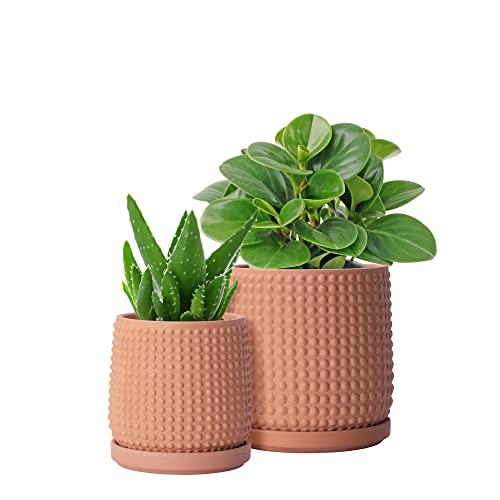 D'vine Dev Terracotta Indoor Planter Pots Set
