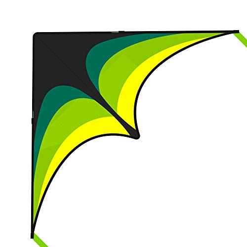 Easy-to-Fly Colorful Delta Kite for Kids & Adults