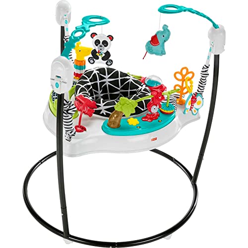 Fisher-Price Baby Bouncer Activity Center