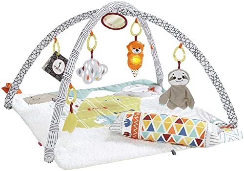 Fisher-Price Baby Playmat Deluxe Gym