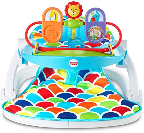 Fisher-Price Baby Portable Baby Chair Deluxe