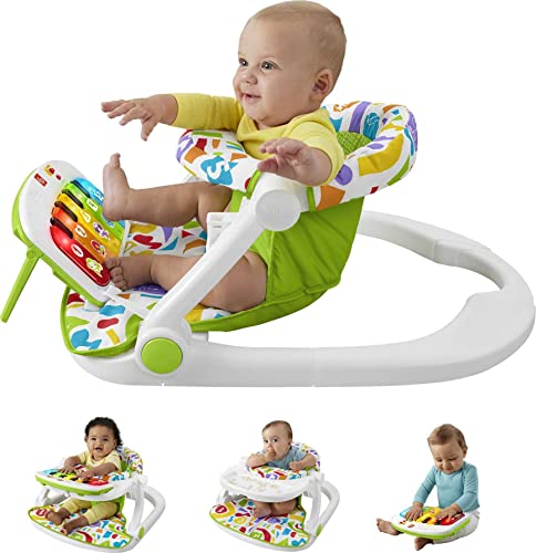Fisher-Price Baby Portable Chair