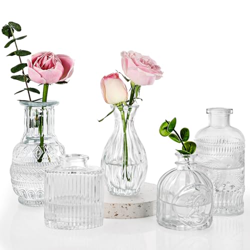 Fixwal 5-Piece Glass Bud Vase Set for Rustic Wedding and Home Decor