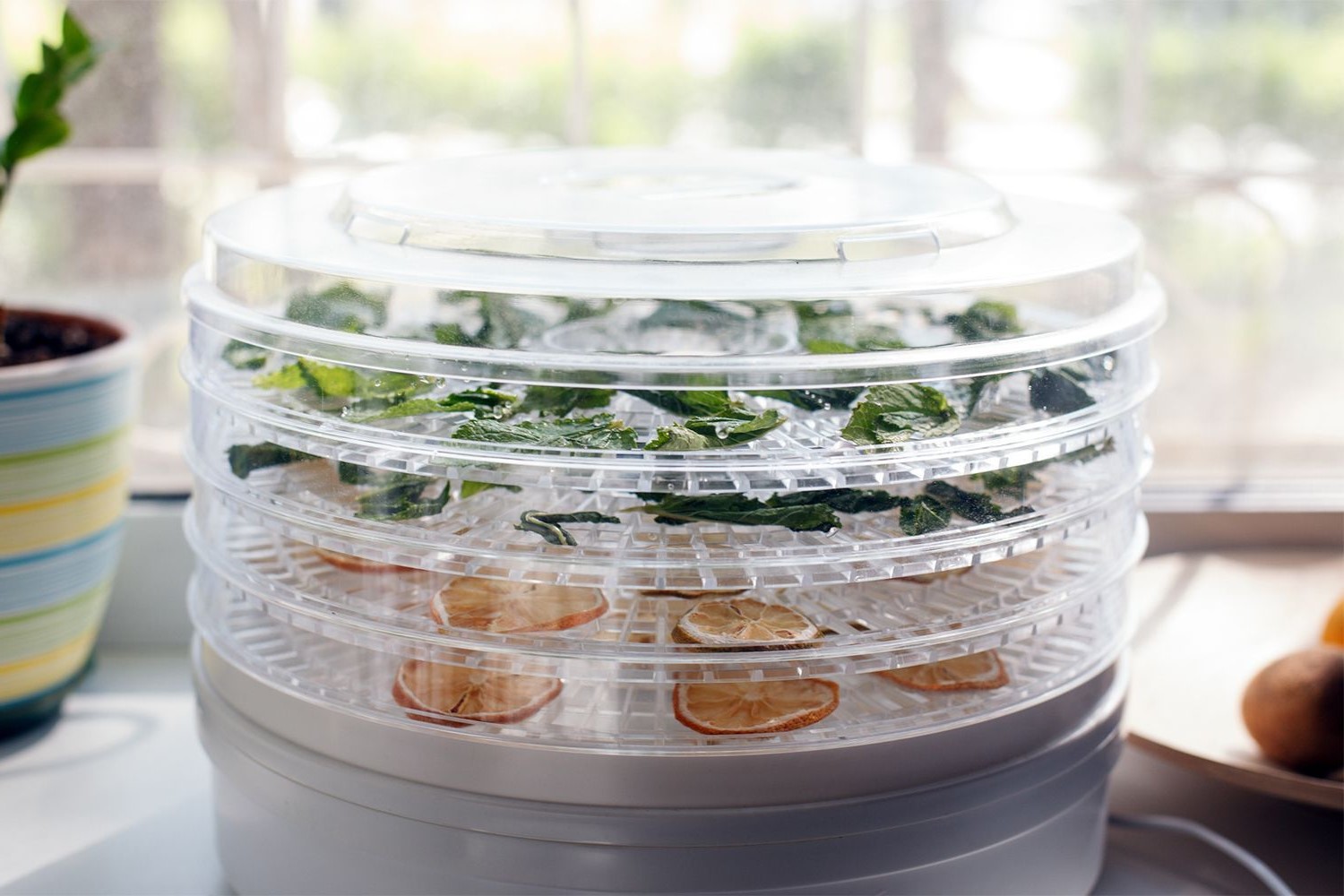Food Dehydrator Review: A Comprehensive Analysis