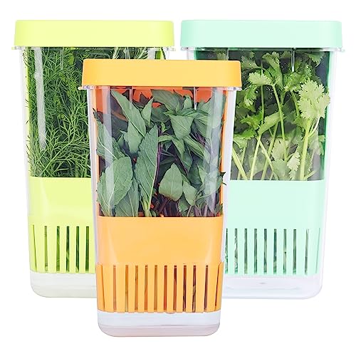 Fresh Herb Keeper for Refrigerator - BPA-Free Storage Container