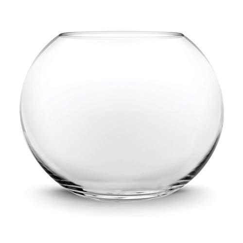 Glass Bubble Bowl Vase