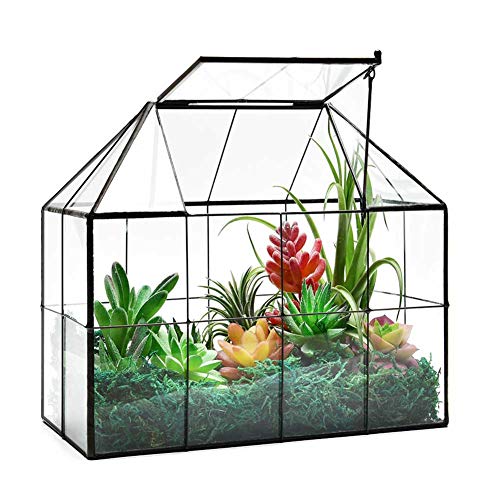 Glass Greenhouse Planter