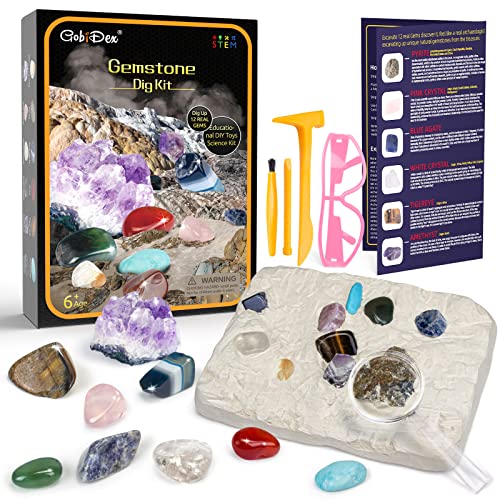 GobiDex Gemstones Dig Kit
