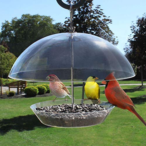 Heath Outdoor Products Observatory Dome Feeder for Larger Birds