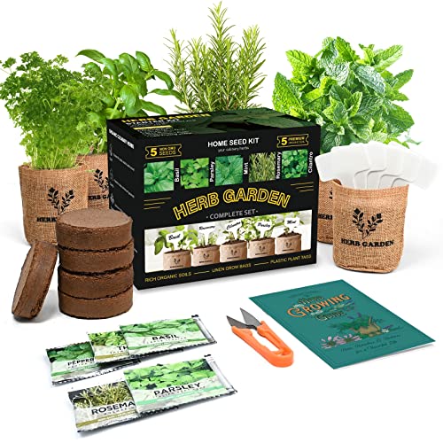Herb Garden Starter Kit - 5 Herb Seeds