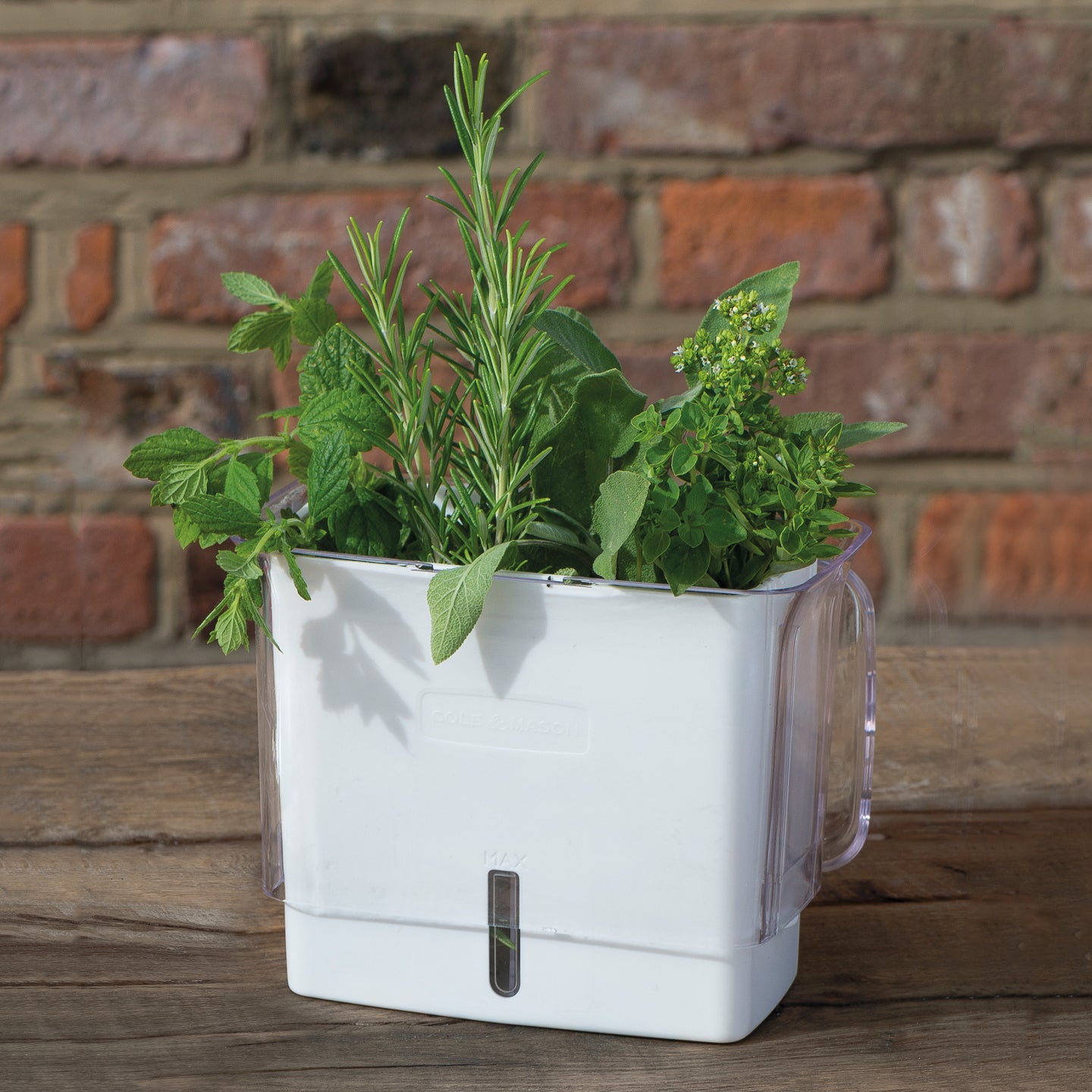 Herb Keeper Review: Keep Your Herbs Fresh and Flavorful