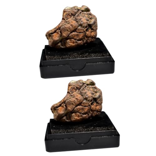 Hohopeti Meteorite Table Topper