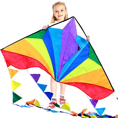 Honbo Easy-Fly Delta Kite for Beach Trip, with Colorful Tail