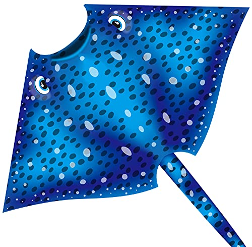 HONBO Ray Kite - Easy to Fly Delta Kite for Kids & Adults
