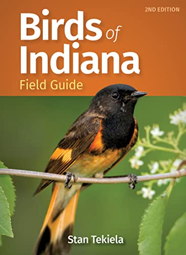 Indiana Birds Field Guide
