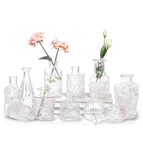 Jelofly Glass Bud Vases Set