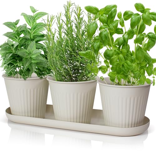 KIBAGA Indoor Herb Garden Planter Set