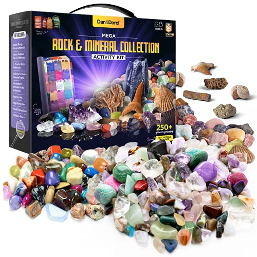 Kids Rock & Fossil Collection Kit